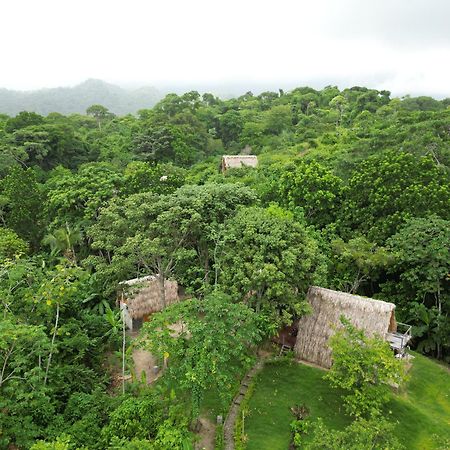 Tiny Houses Unique Tayrona - Dentro Del Parque Tayrona Ел Заино Екстериор снимка