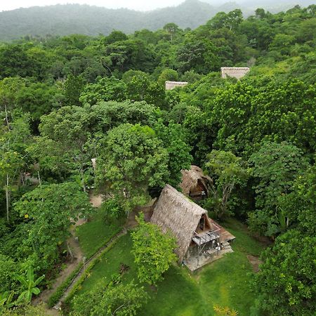 Tiny Houses Unique Tayrona - Dentro Del Parque Tayrona Ел Заино Екстериор снимка