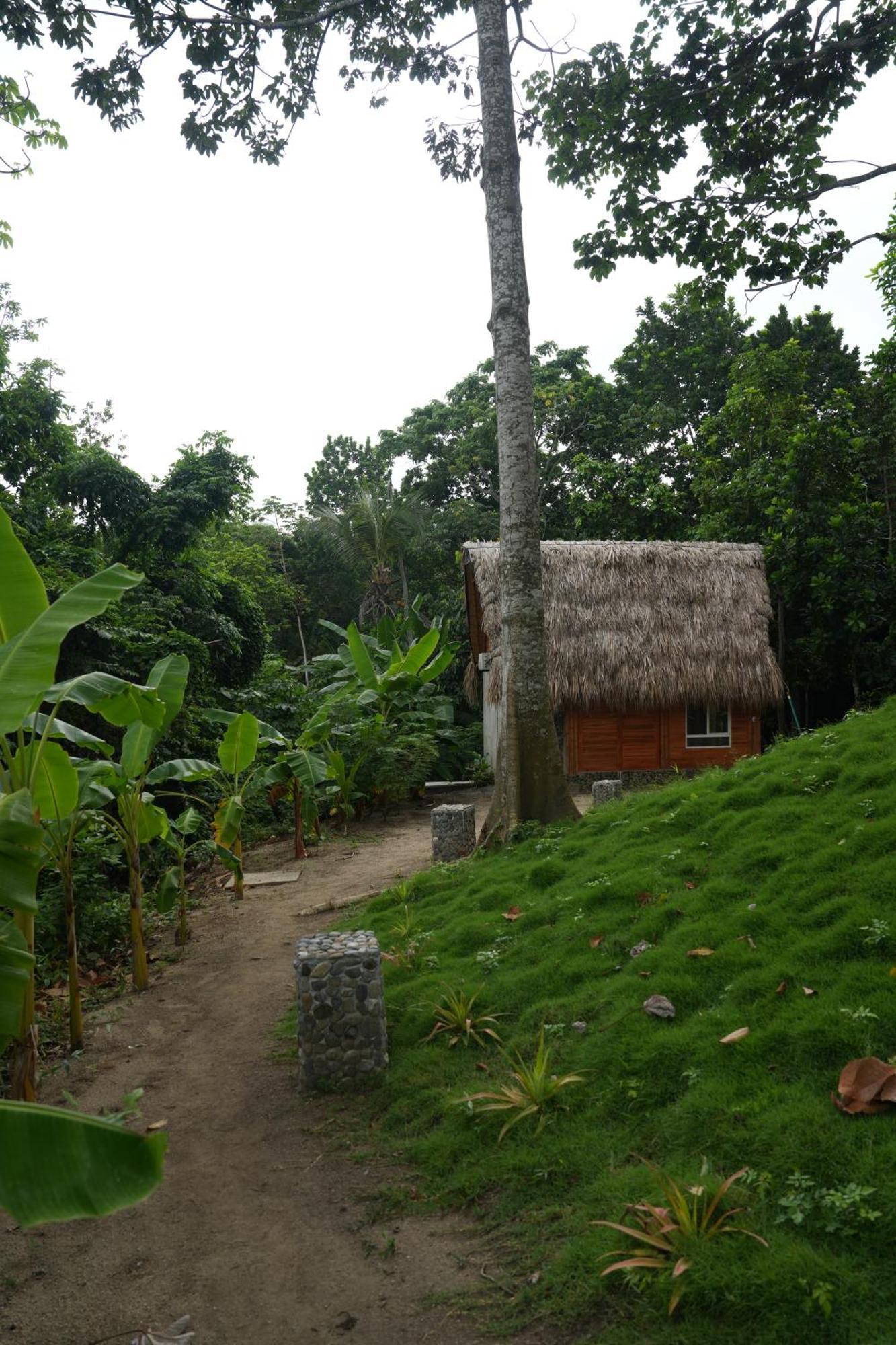 Tiny Houses Unique Tayrona - Dentro Del Parque Tayrona Ел Заино Екстериор снимка