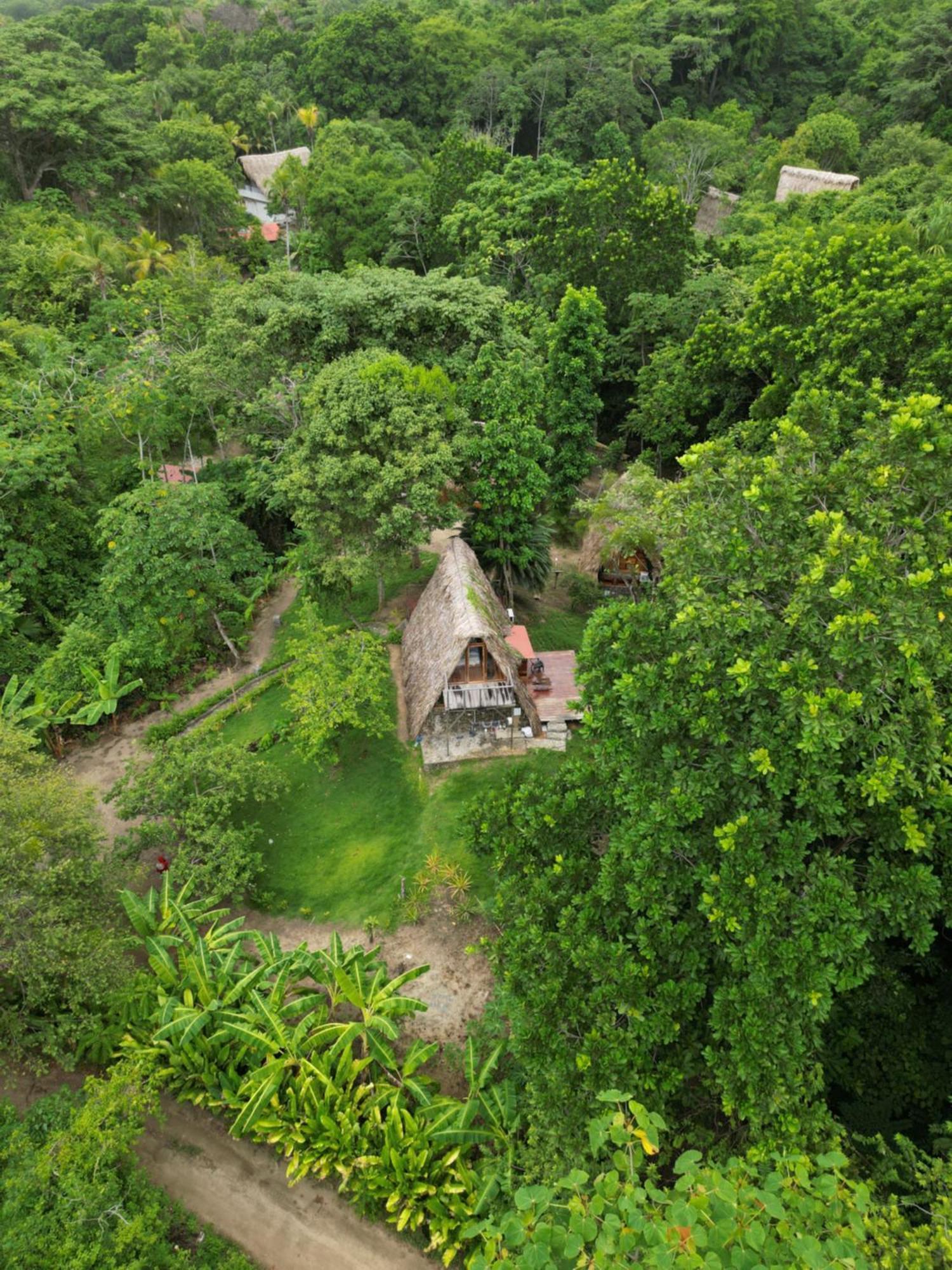 Tiny Houses Unique Tayrona - Dentro Del Parque Tayrona Ел Заино Екстериор снимка