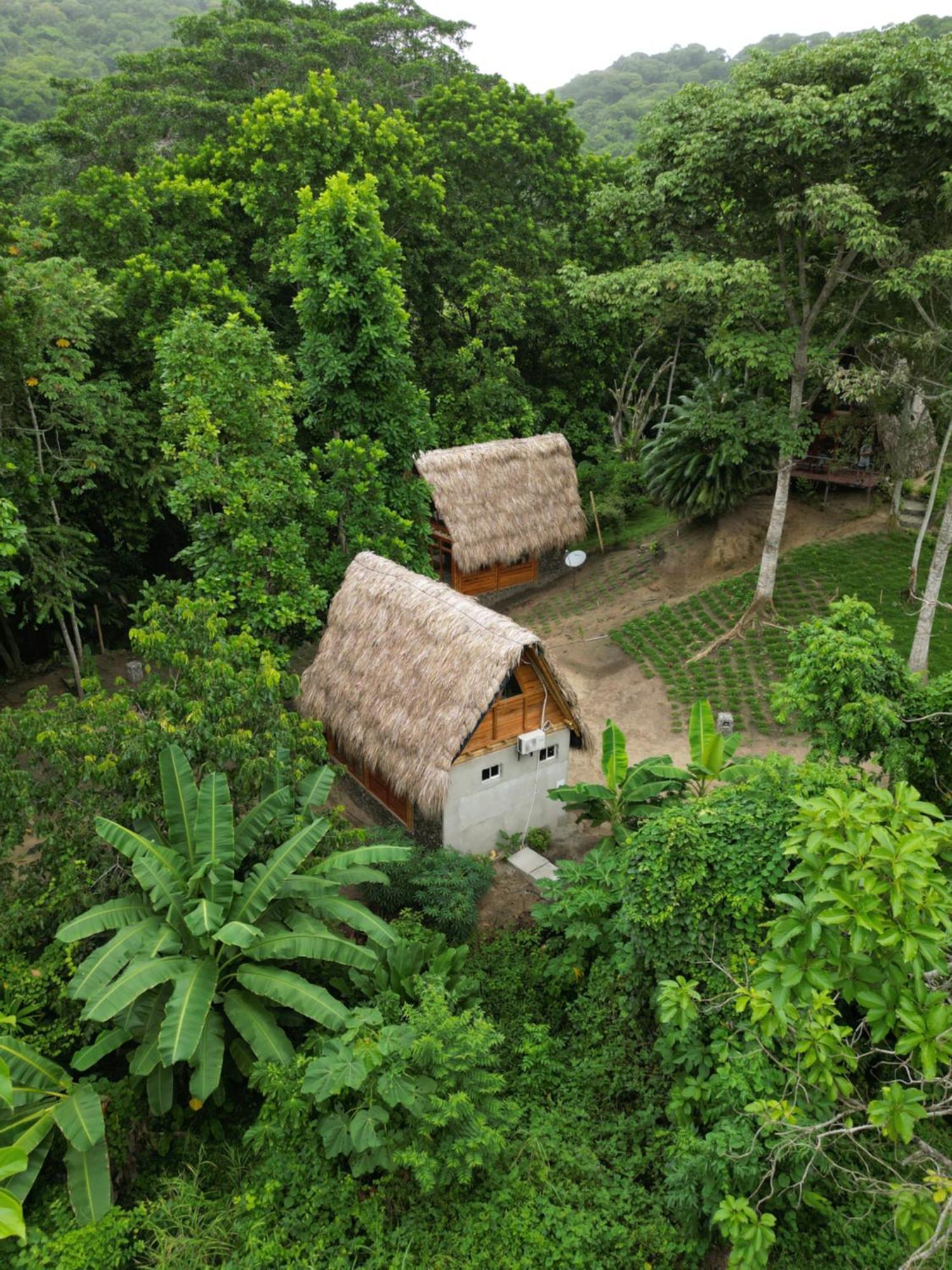 Tiny Houses Unique Tayrona - Dentro Del Parque Tayrona Ел Заино Екстериор снимка