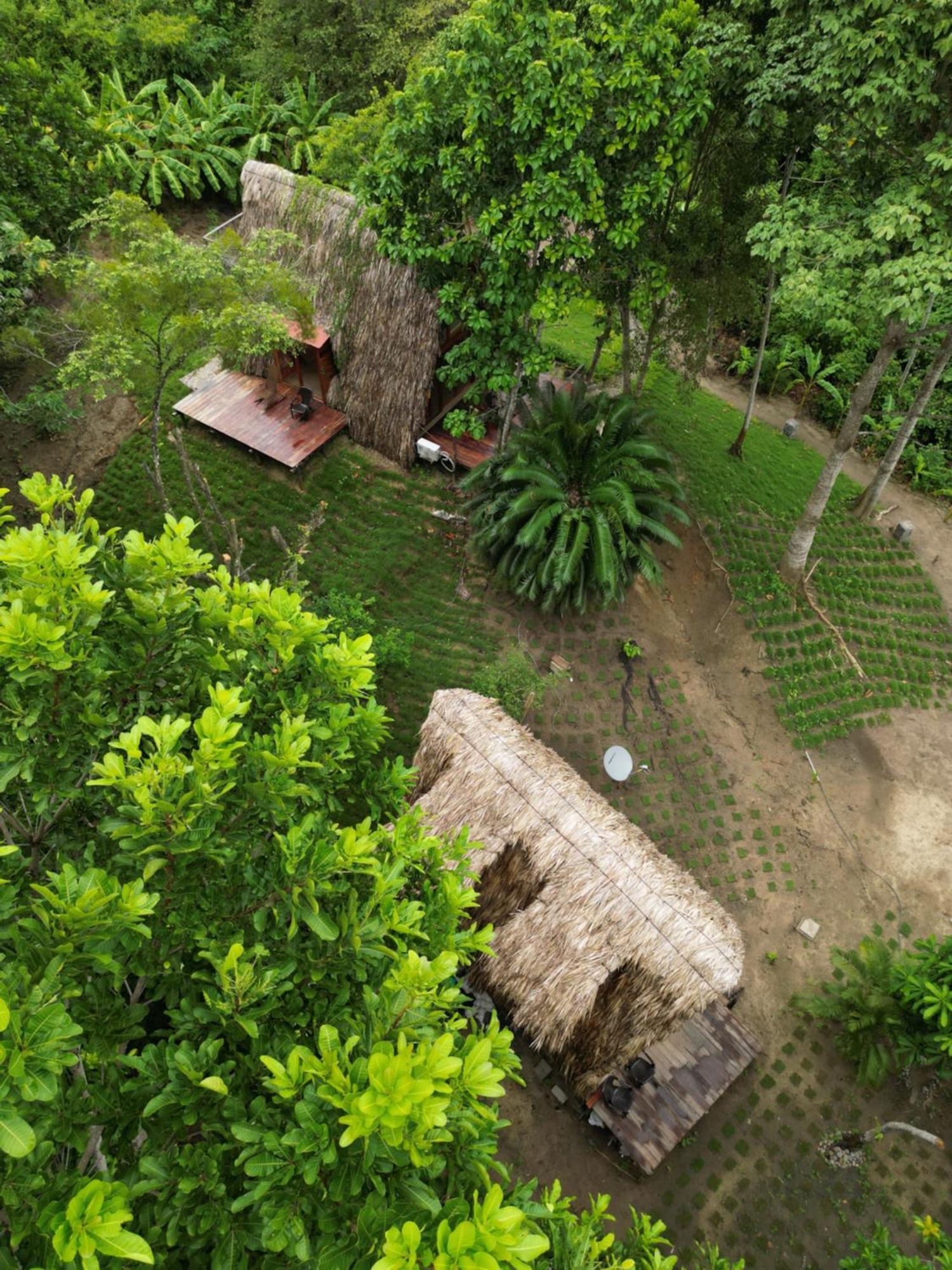 Tiny Houses Unique Tayrona - Dentro Del Parque Tayrona Ел Заино Екстериор снимка