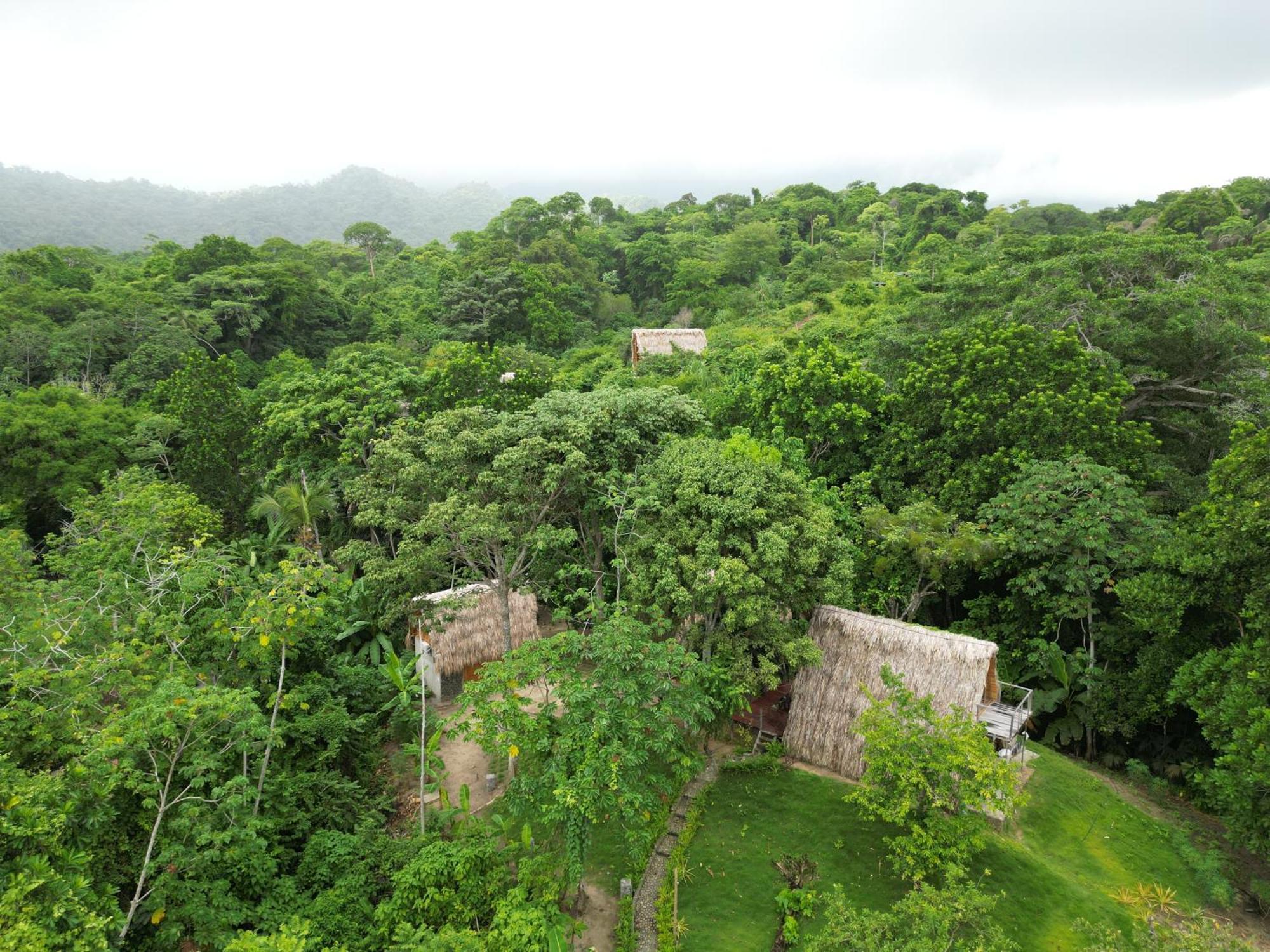 Tiny Houses Unique Tayrona - Dentro Del Parque Tayrona Ел Заино Екстериор снимка