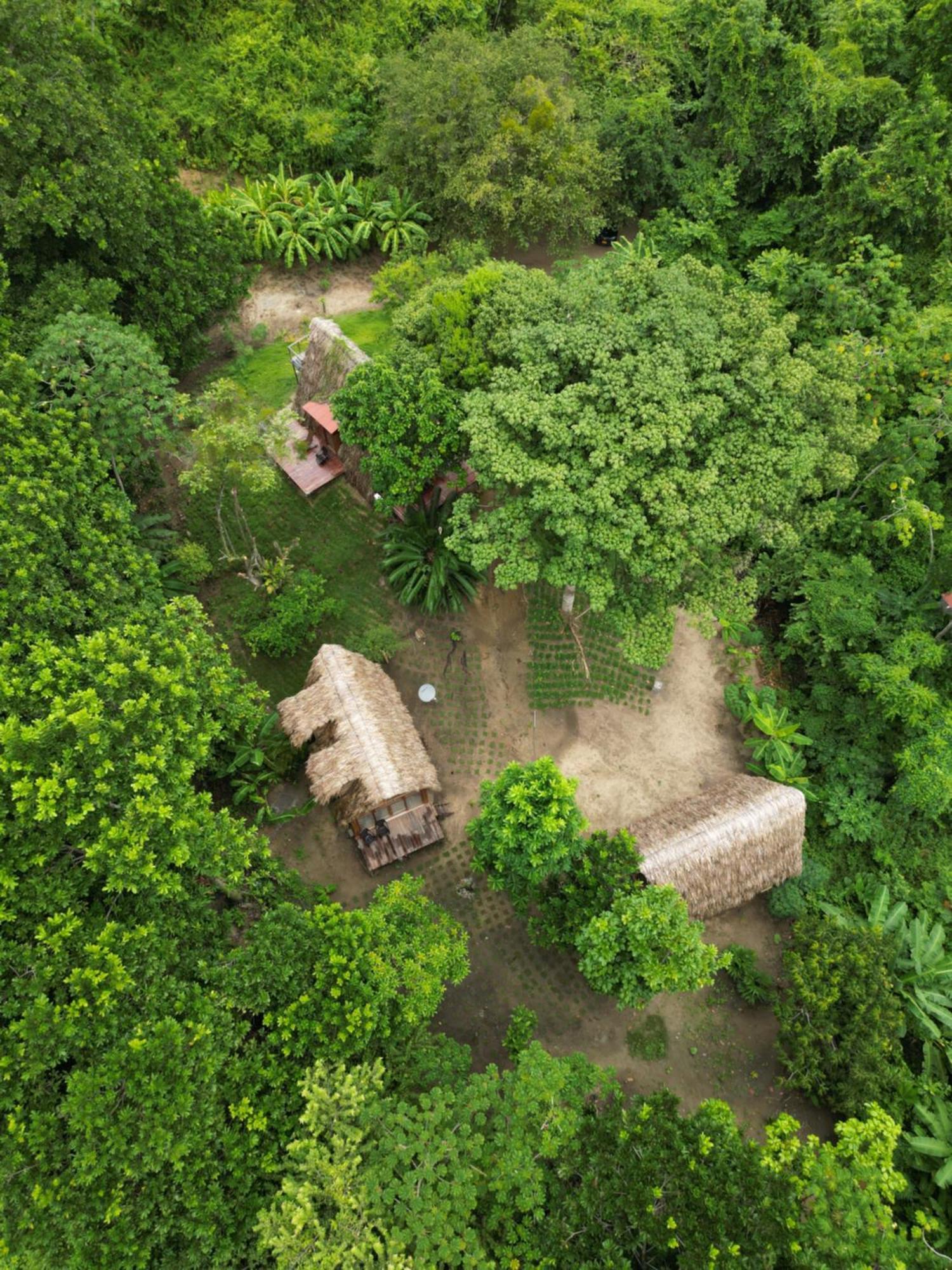 Tiny Houses Unique Tayrona - Dentro Del Parque Tayrona Ел Заино Екстериор снимка