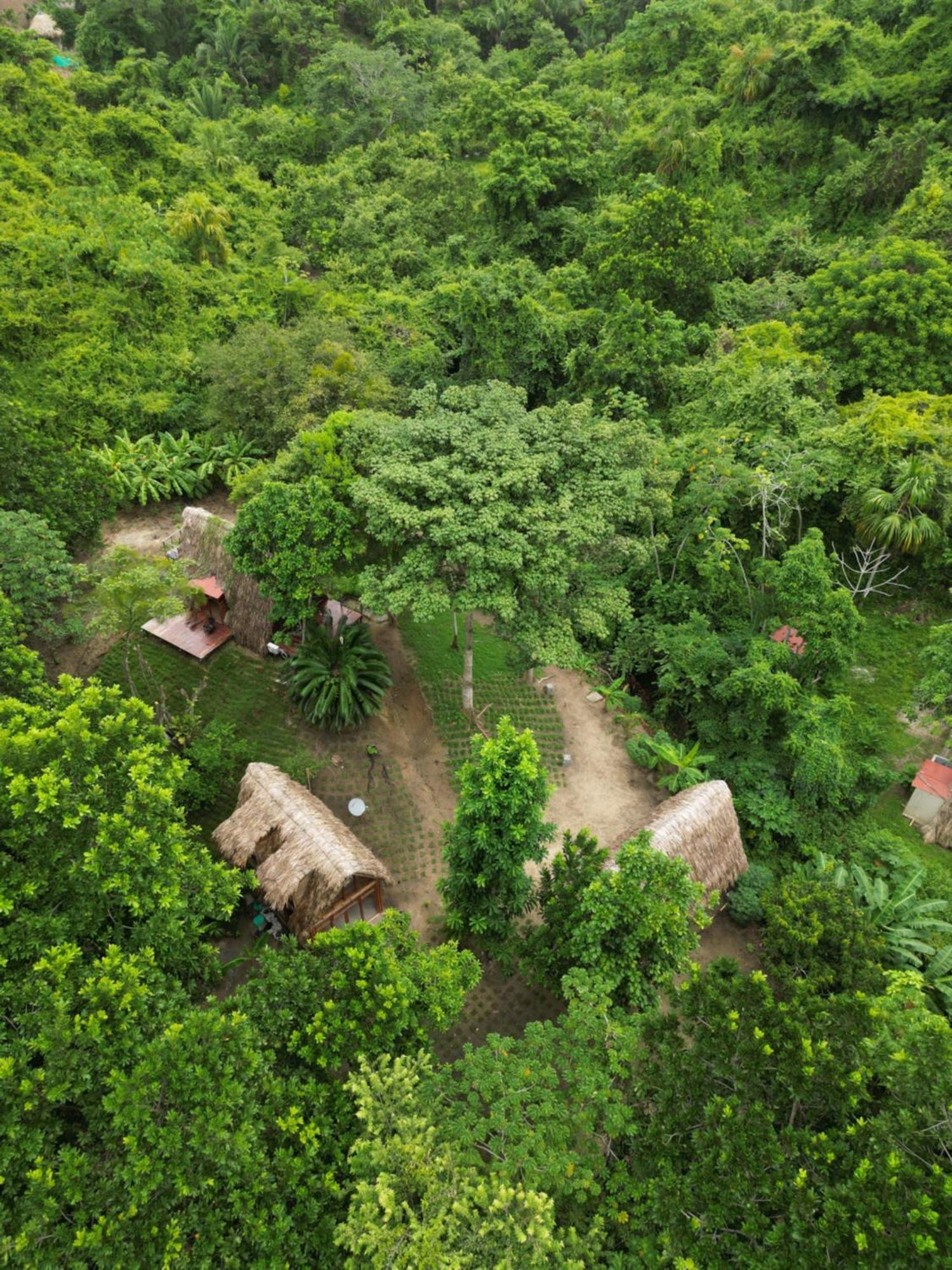 Tiny Houses Unique Tayrona - Dentro Del Parque Tayrona Ел Заино Екстериор снимка