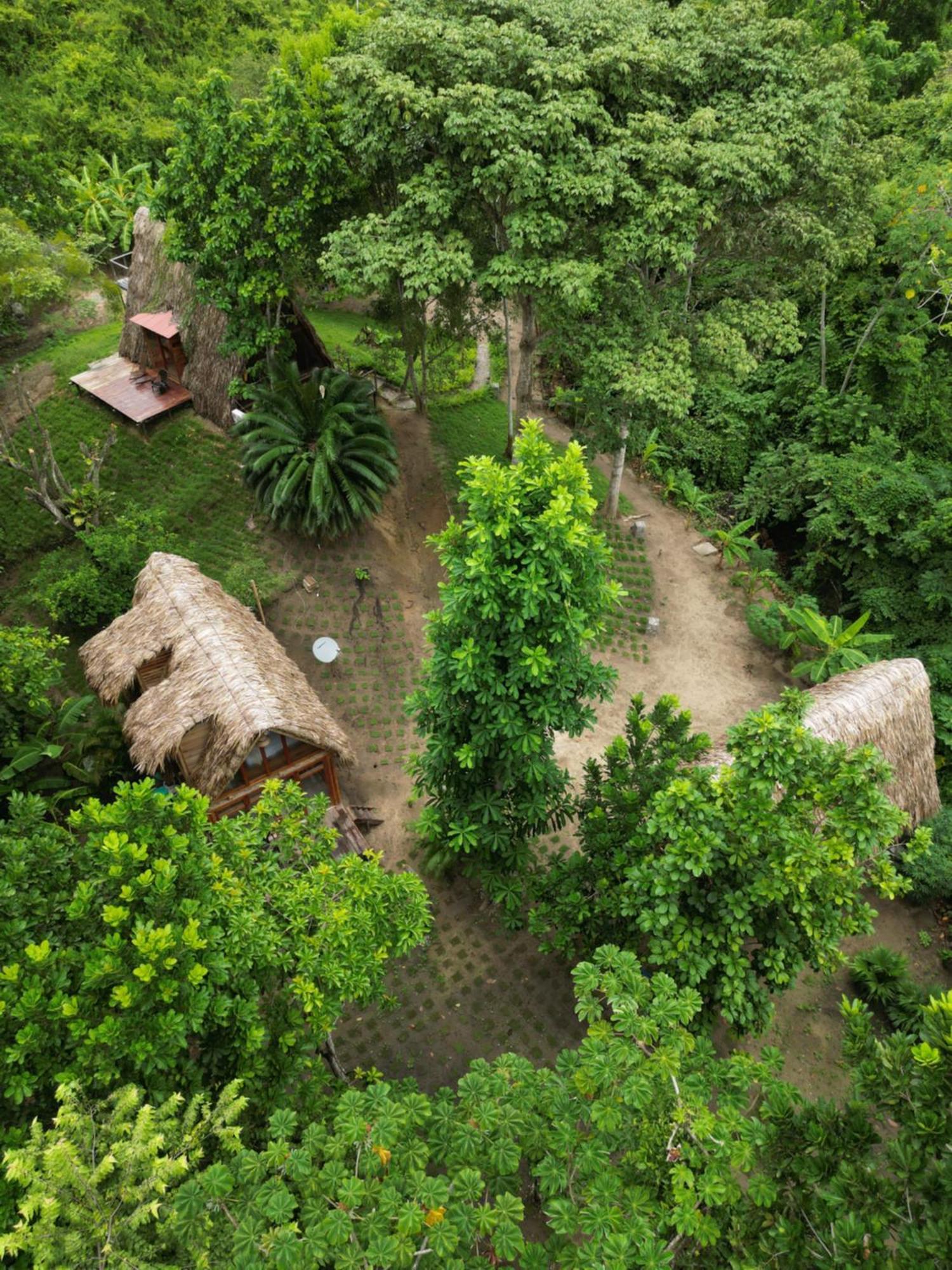 Tiny Houses Unique Tayrona - Dentro Del Parque Tayrona Ел Заино Екстериор снимка