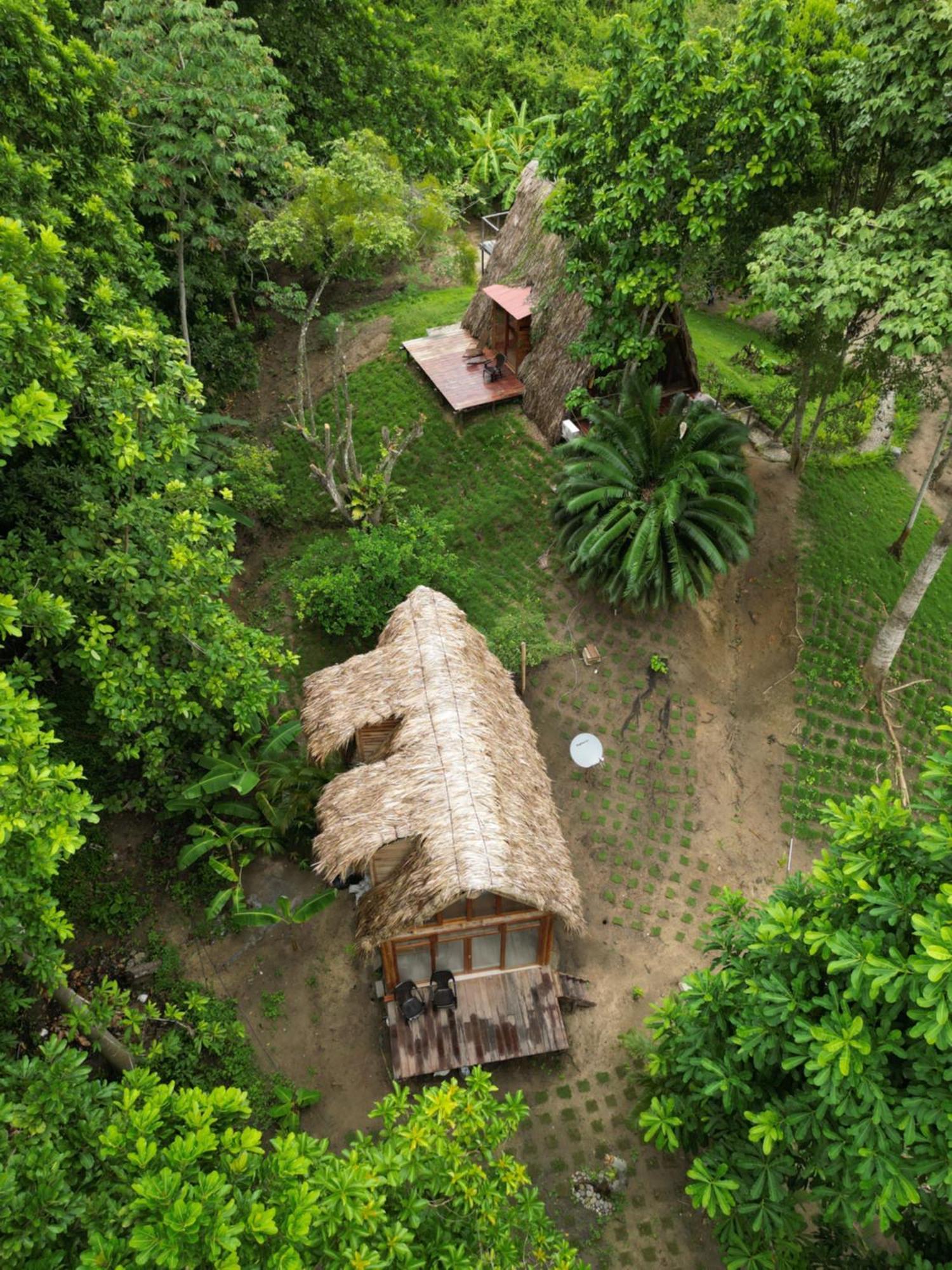 Tiny Houses Unique Tayrona - Dentro Del Parque Tayrona Ел Заино Екстериор снимка