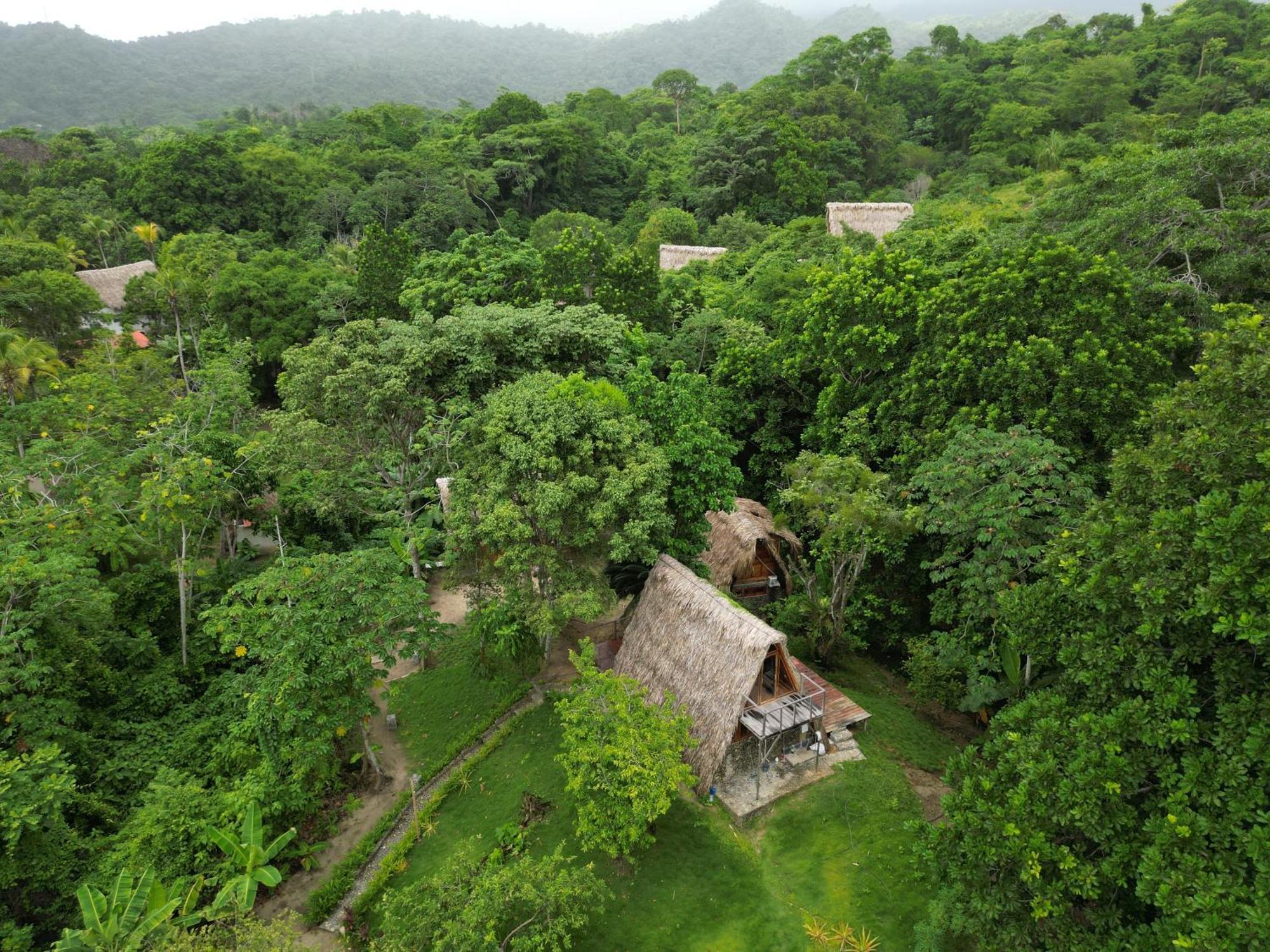 Tiny Houses Unique Tayrona - Dentro Del Parque Tayrona Ел Заино Екстериор снимка