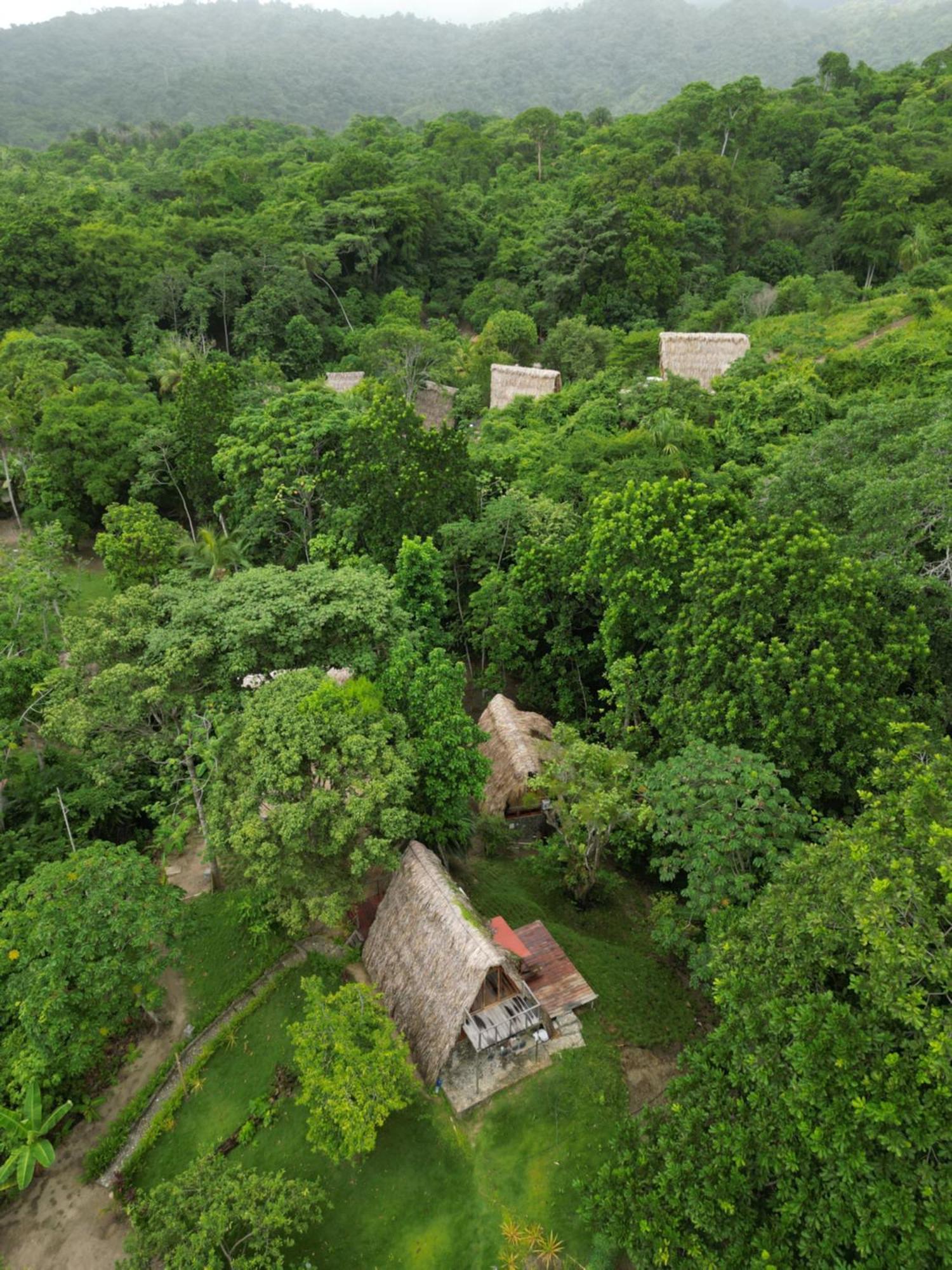 Tiny Houses Unique Tayrona - Dentro Del Parque Tayrona Ел Заино Екстериор снимка